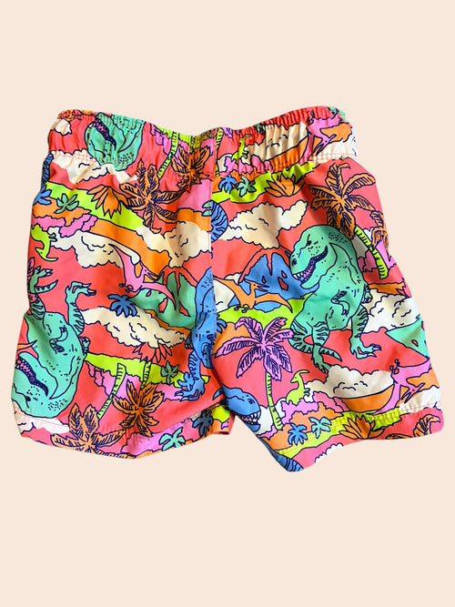 Boys XS (4/5) Cat & Jack Swim Short