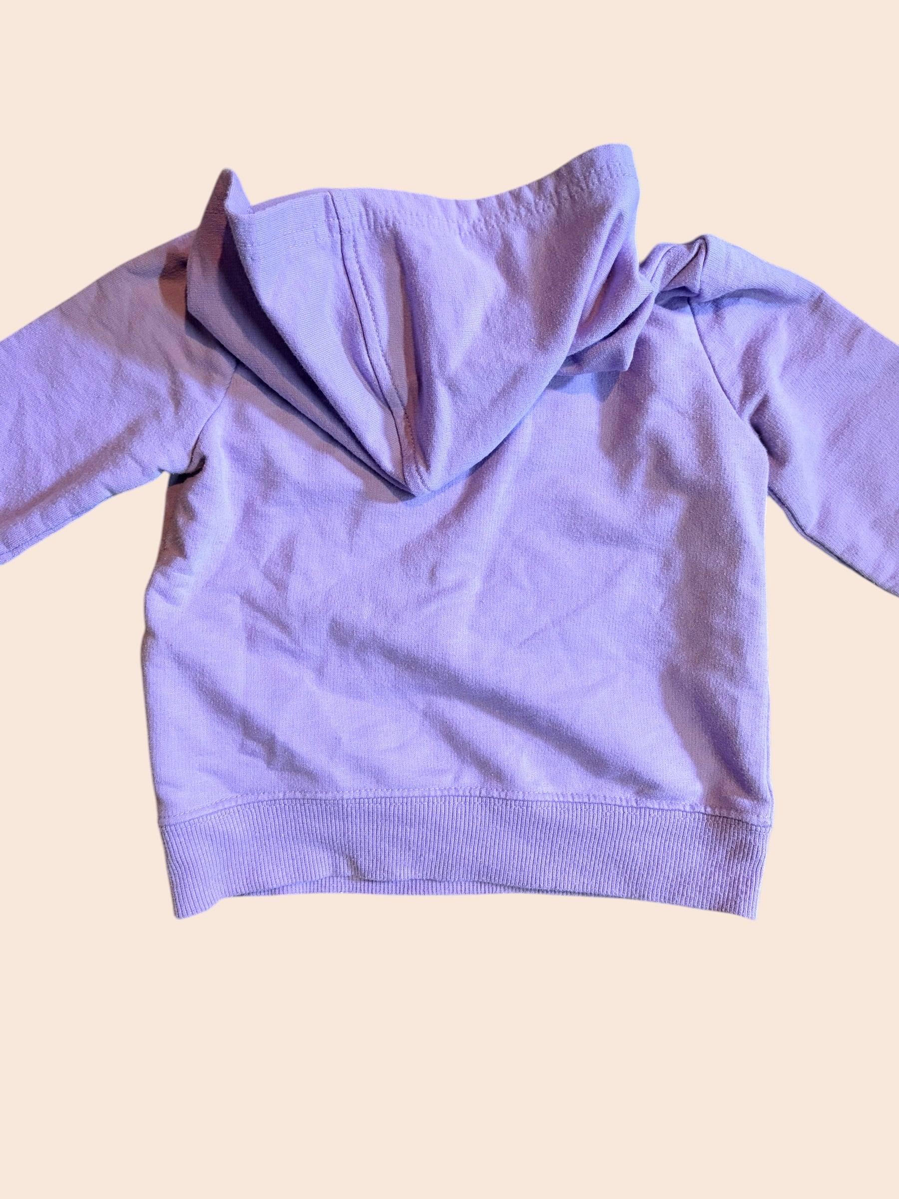 Girls 18 Month Ideology Hoodie