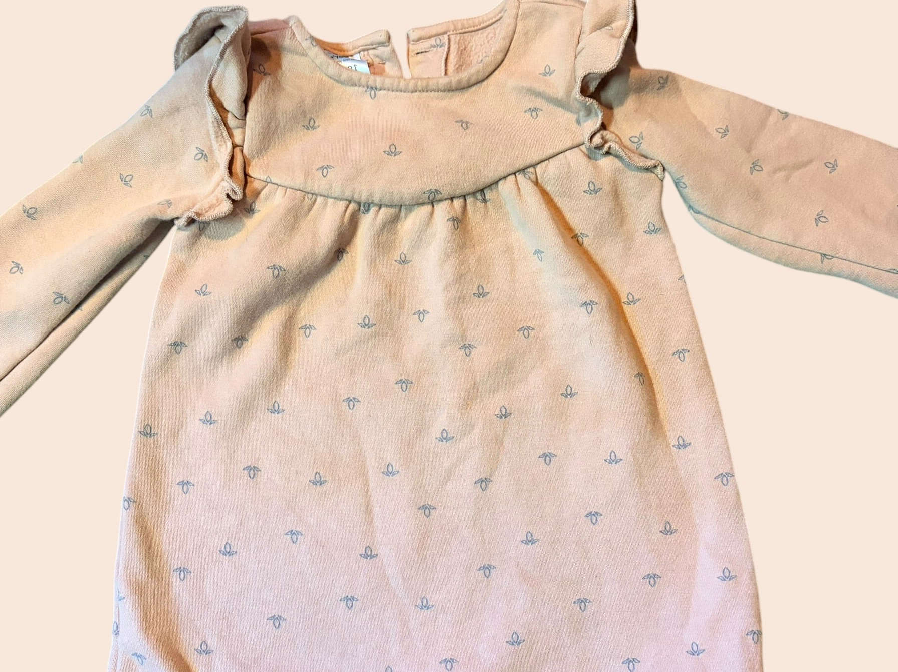 Carter’s 18 Month Girl Flower Dress