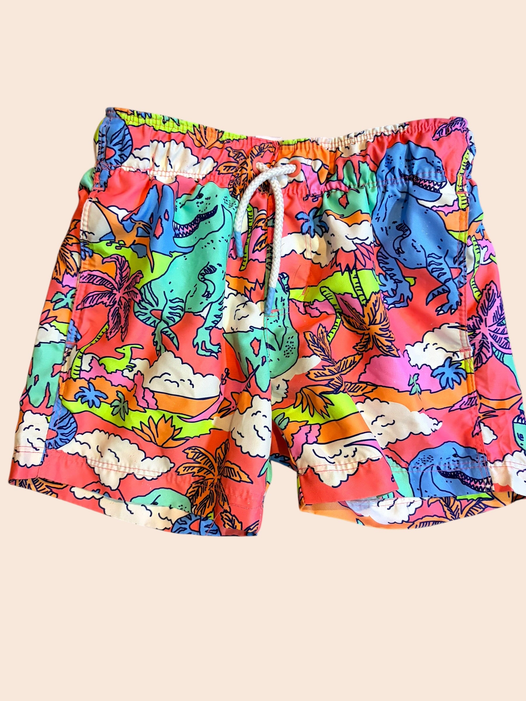 Boys XS (4/5) Cat & Jack Swim Short